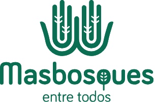 Masbosques